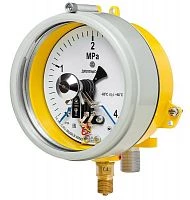 ДМ2005ф Сг1Ехd 60 кПа кл.1,5 исп IV  УТ000011952
