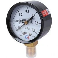 ТМ-210Р.00(0-2,5)МРа.M12x1,5.2,5. ГАЗ УТ000018045